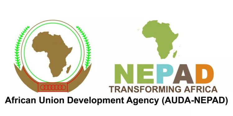 Call For Applications: African Union Development Agency (AUDA-NEPAD) Young Professionals Program 2024 for Young Africans