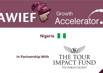 AWIEF-Growth-Accelerator-in-Nigeria-Programme-2024-1024x545