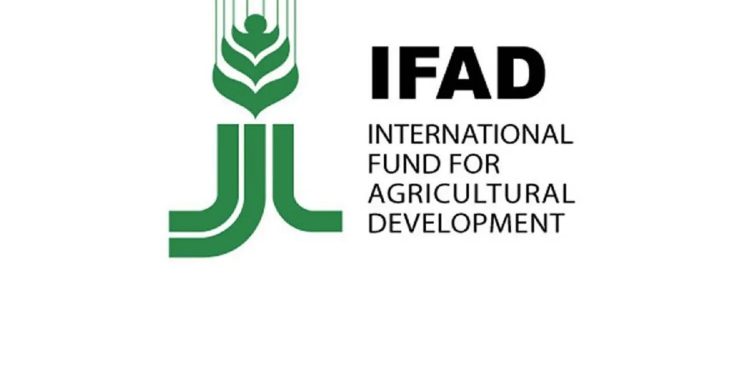 12,000 Youths Across Six States to Benefit from IFAD LIFE-ND Project