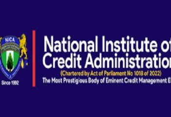 NICA seeks Access to Credit For Entrepreneurship and Economic growth