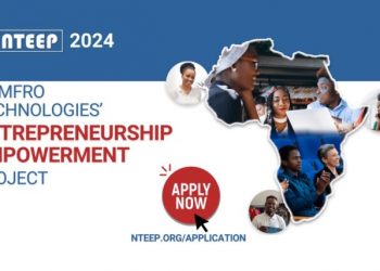 Call For Applications: NTEEP 4.0 Entrepreneurship Empowerment Project (Access to Entrepreneurship Training, Mentorship and Digital tools)