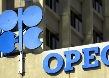 OPEC Fund Invests $1.7 Billion in Renewable Energy Projects Worldwide