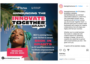 Call For Applications: BGV, TikTok Innovate Together Grant Program( $50,000 Grant to 12 Small Businesses)