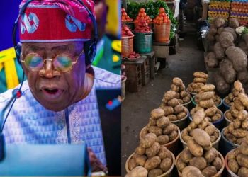 Federal Government to Distribute 42,000 Tonnes of Grains to Vulnerable Nigerians