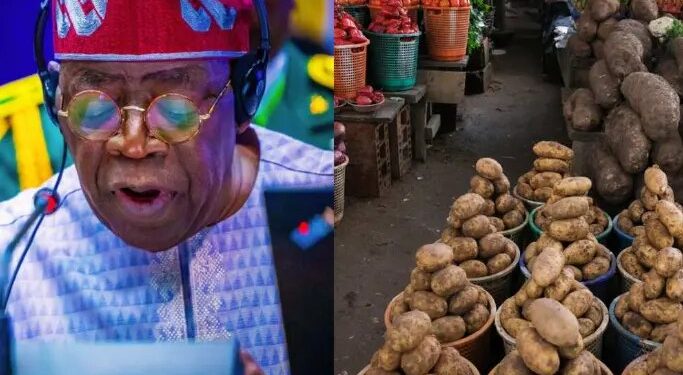 Federal Government to Distribute 42,000 Tonnes of Grains to Vulnerable Nigerians