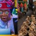 Federal Government to Distribute 42,000 Tonnes of Grains to Vulnerable Nigerians