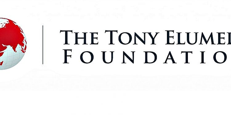 Harvard Business School Spotlights TEF'S Philanthropic Impact on Businesses in Africa