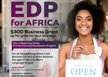 Call For Applications: Voice1Africa & Sound Mind Buildup Entrepreneurship Development Program for Africa 2024(Up to $300 Business Grant plus 3 Weeks free Entrepreneurship Development Training)