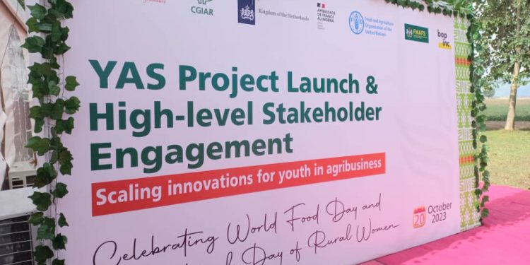 Netherlands and IITA to Train 10,000 Nigerian Youths in Agribusiness