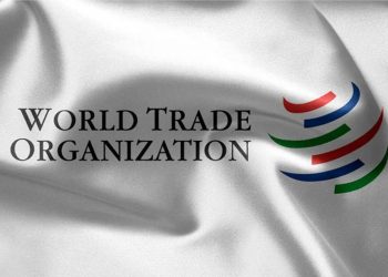 Call For Applications: World Trade Organization Internship Program 2024 ( Step-by-Step Process on how to Apply)