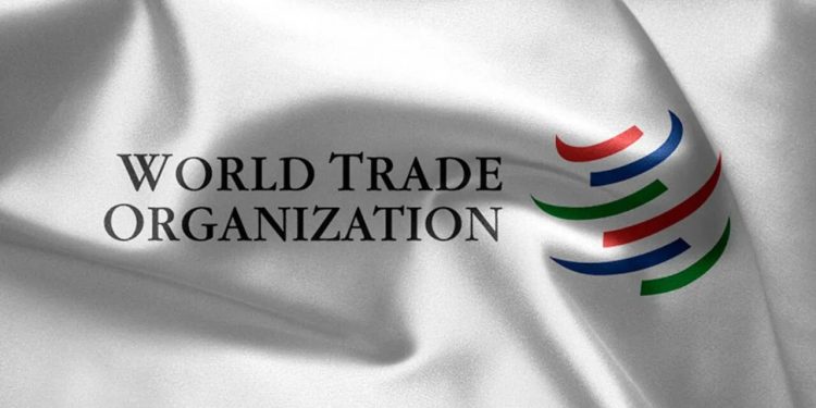 Call For Applications: World Trade Organization Internship Program 2024 ( Step-by-Step Process on how to Apply)