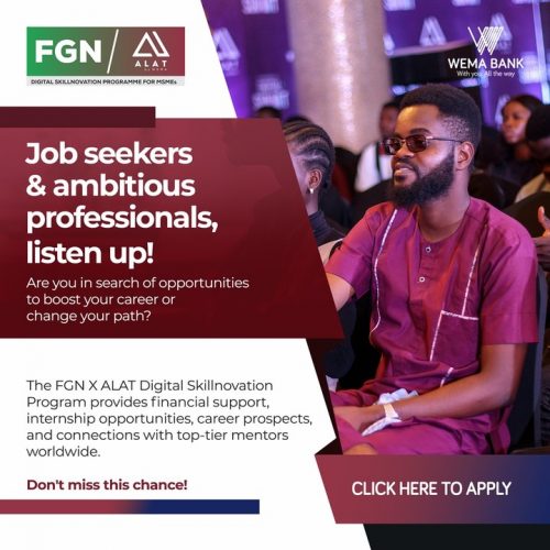 Call For Applications: FGN-ALAT Digital Skillnovation Program Cohort 2 2024