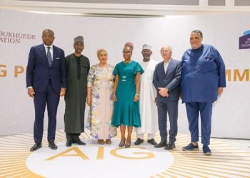 Aig-Imoukhuede Foundation Commits $100 Million to Train 3,000 Public Leaders