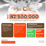 Call For Applications: The 234 Community Impact Challenge 3.0 For Change Makers In Nigeria Institutions ( Up to N2.5 Million )