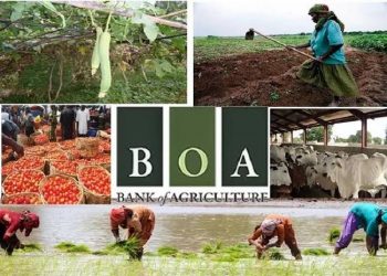 27,600 Women in Benue State Shortlisted for Grants and Loans to Boost Self-Reliance