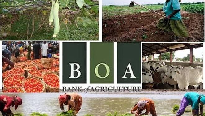 27,600 Women in Benue State Shortlisted for Grants and Loans to Boost Self-Reliance