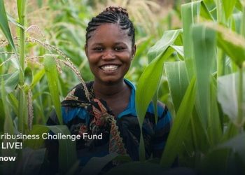 Call for Applications: Mastercard Foundation Fund for Resilience and Prosperity Agribusiness Challenge Fund for SMEs across Africa