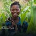 Call for Applications: Mastercard Foundation Fund for Resilience and Prosperity Agribusiness Challenge Fund for SMEs across Africa