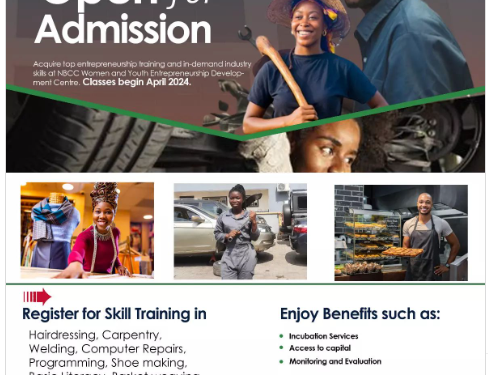 Call For Applications: NBCC Women and Youth Entrepreneurship Development Centre