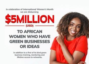 Call for Applications: The Tony Elumelu Foundation (TEF) Women Entrepreneurship For Africa (WE4A) Program 2024 for female entrepreneurs (5 Million USD in funding)