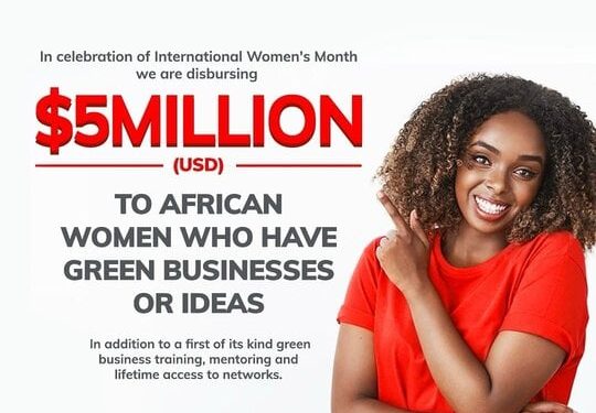 Call for Applications: The Tony Elumelu Foundation (TEF) Women Entrepreneurship For Africa (WE4A) Program 2024 for female entrepreneurs (5 Million USD in funding)