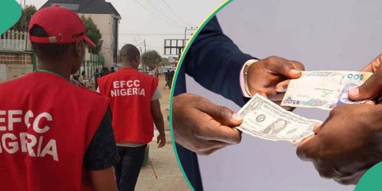 EFCC Issues Warning to Businesses: Stop Charging Local Customers in Dollars or Face Prosecution