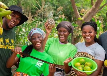 AfDB's MicroGREEN Project to Create Green Jobs for Entrepreneurs in Ghana and Senegal