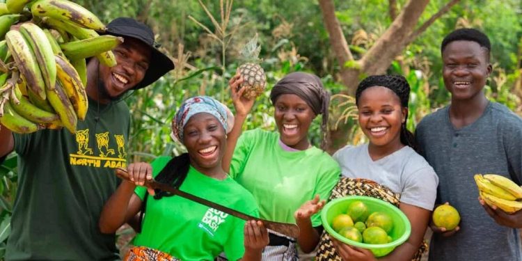 AfDB's MicroGREEN Project to Create Green Jobs for Entrepreneurs in Ghana and Senegal