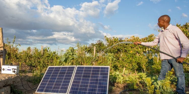 Hastings and Schmidt Invest $27m in SunCulture, Driving Solar Farming Revolution in Africa