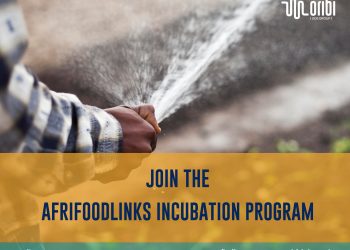 Call for Applications: Oribi x AfriFOODlinks Incubation Program 2024 for sustainable agri-food businesses