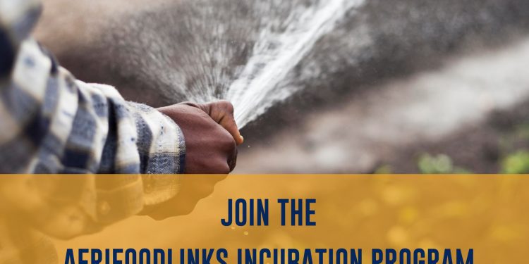 Call for Applications: Oribi x AfriFOODlinks Incubation Program 2024 for sustainable agri-food businesses
