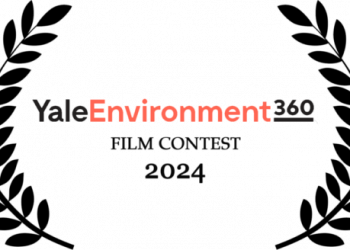 Call For Applications: Yale Environment 360 Film Contest 2024 (up to $6,000 in prizes)