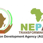 Call For Applications: AUDA-NEPAD HGS Accelerator Home Grown Solutions Accelerator for Pandemic Resilience 2024 For African Healthcare Companies