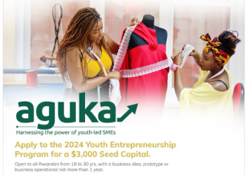 Call For Applications: Tony Elumelu Foundation/UNDP Aguka Ideation Entrepreneurship Program ( Up to $3,000 Fund)