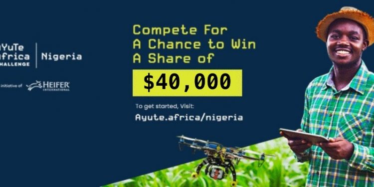 Heifer International Announces $40,000 Grant for Youth and Women in AYuTe Africa Challenge Nigeria