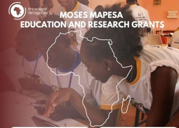 Call for Applications: AWHF Moses Mapesa Research Grant 2024 (up to $5,000)