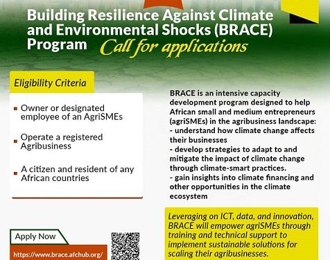 Call For Applications: African Food Changemakers BRACE Capacity Development Program For Agripreneurs (SMEs)