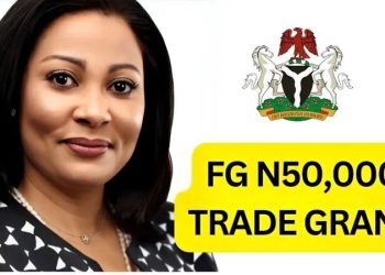 N50,000 Grant Program for Nano Businesses: Update on Disbursement