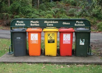 Foodstuff Store Launches Innovative Recycling Program to Promote Sustainability