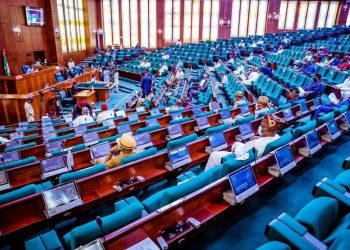 Nigeria House of Rep Orders CBN to Suspend Cybercrime Levy Implementation