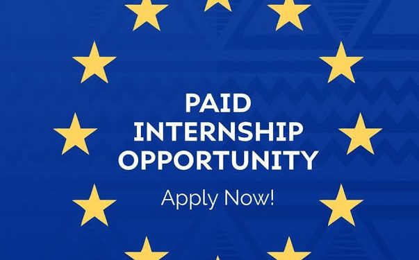 Call For Applications: Funded traineeships for young graduates at the EU Delegation to Nigeria – Regional Cooperation & Trade Sections