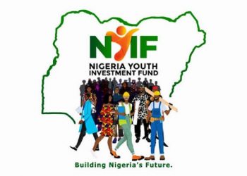 Nigerian Government Approves N110 Billion National Youth Investment Fund