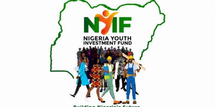 Nigerian Government Approves N110 Billion National Youth Investment Fund