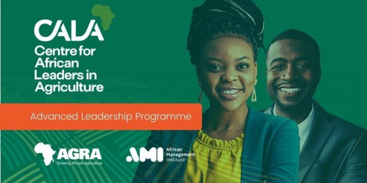 Call For Applications: Centre for African Leaders in Agriculture’s (CALA) Advanced Leadership Program