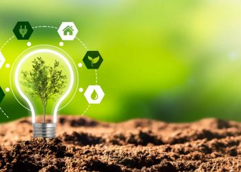 Empowering Young Entrepreneurs: Five Strategies to Build a Profitable and Sustainable Green Business