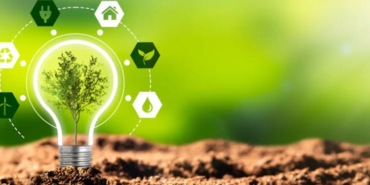 Empowering Young Entrepreneurs: Five Strategies to Build a Profitable and Sustainable Green Business