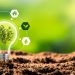 Empowering Young Entrepreneurs: Five Strategies to Build a Profitable and Sustainable Green Business