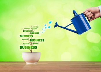 Five Things to look out for as a Growing Small Business