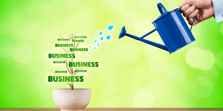 Five Things to look out for as a Growing Small Business