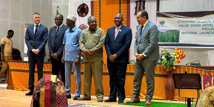 AfDB and Partners Launch CREW Project to Transform Ethiopia’s Wheat Sector